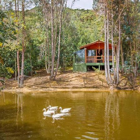 Cabana Tipo Glamping Savieza Life Experience Nemocon Eksteriør billede