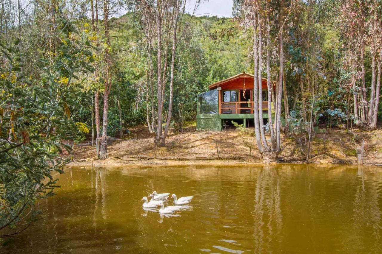 Cabana Tipo Glamping Savieza Life Experience Nemocon Eksteriør billede